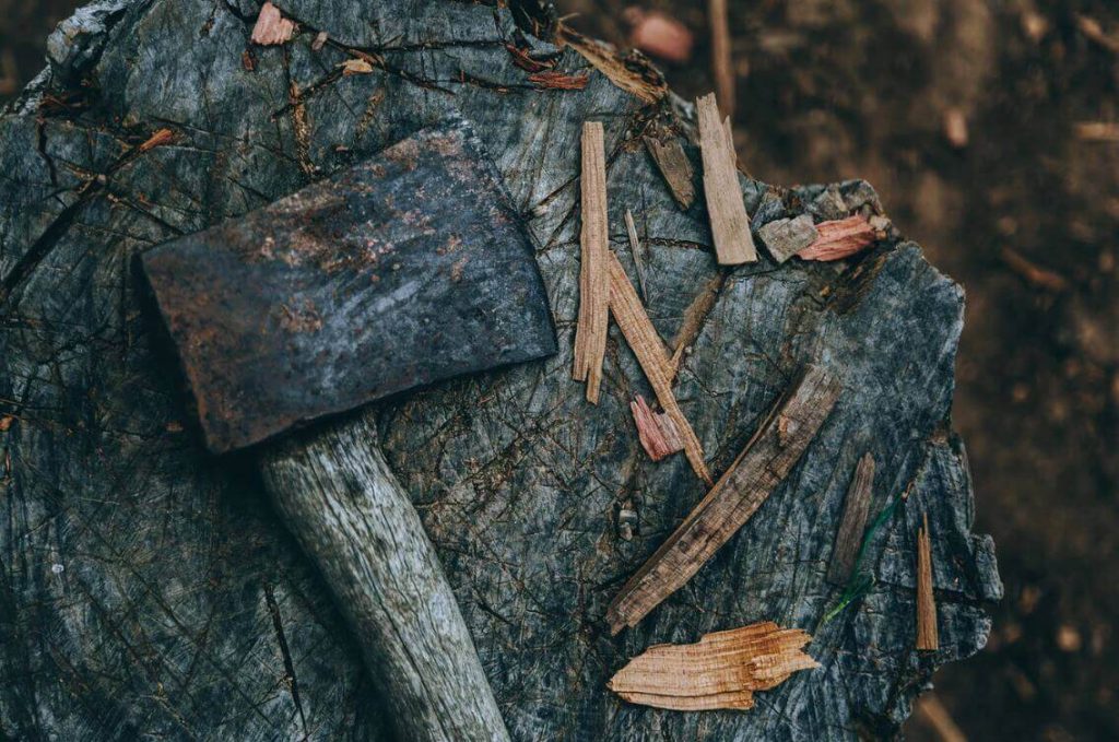 axe lying on tree stump